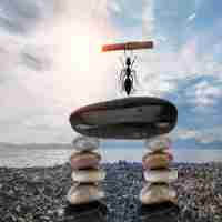 智‌能‍网﻿站﻿收‌录‍系‍统​